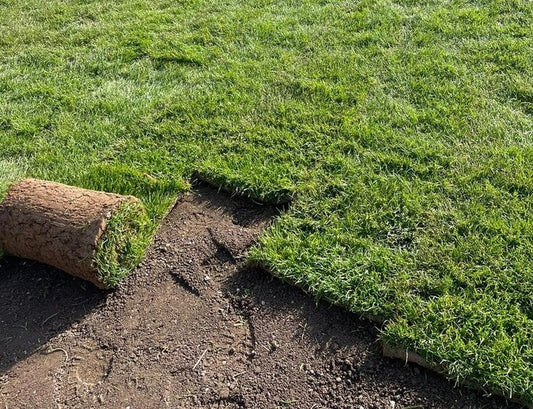 Rollrasen/Fertigrasen/Spiel- und Gebrauchsrasen